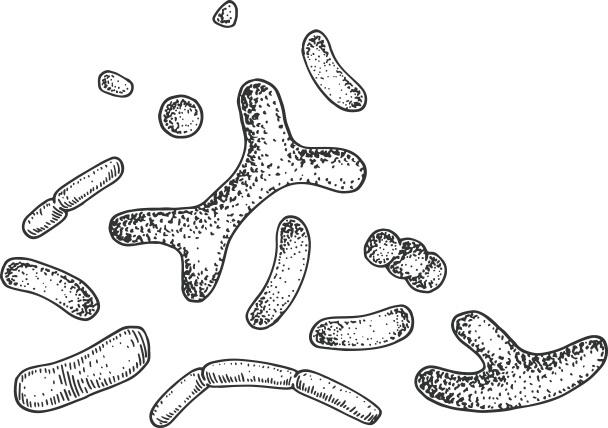 probio88